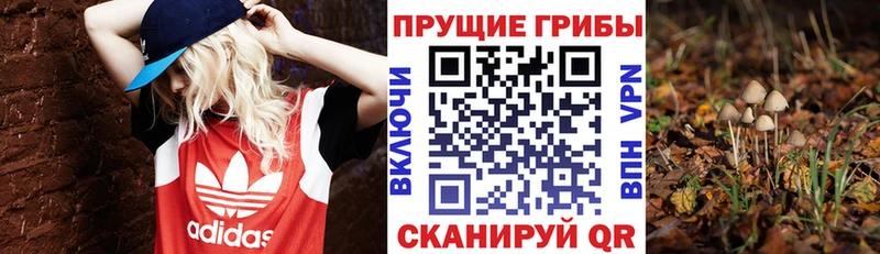 hydra сайт дарнет шоп Нижний Новгород Галлюциногенные грибы Magic Shrooms
